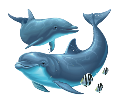two dolphins swimming in the ocean