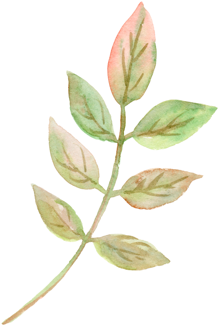 a watercolor painting of a green leaf