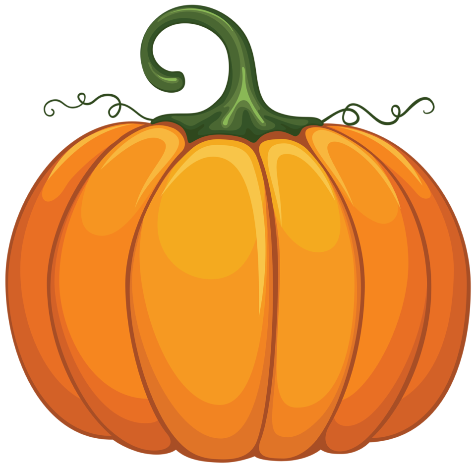 a pumpkin on a white background