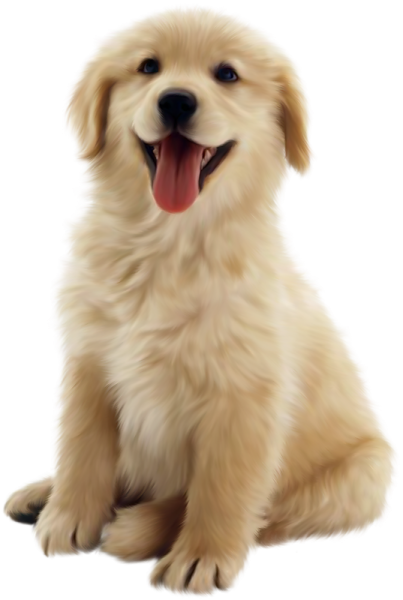 a dog with its tongue out sitting down