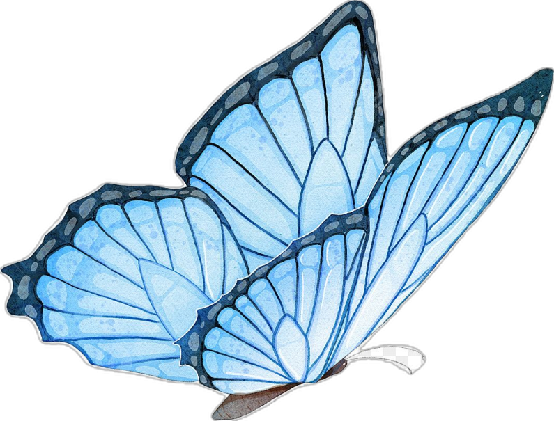 a watercolor drawing of a blue butterfly