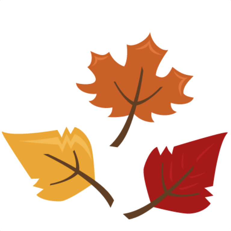 three autumn leaves on white background