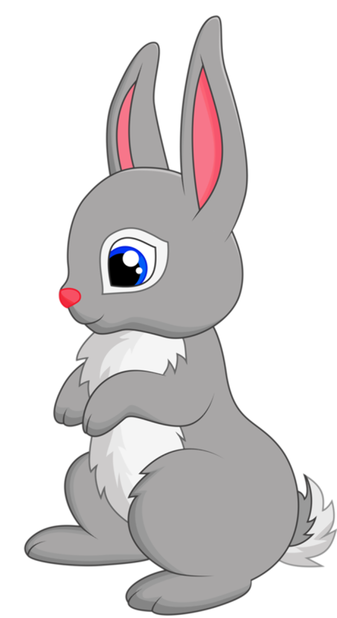 a gray rabbit sitting on the ground