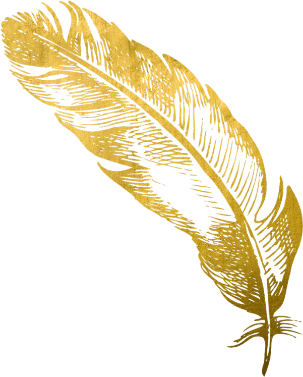 a gold feather on a white background