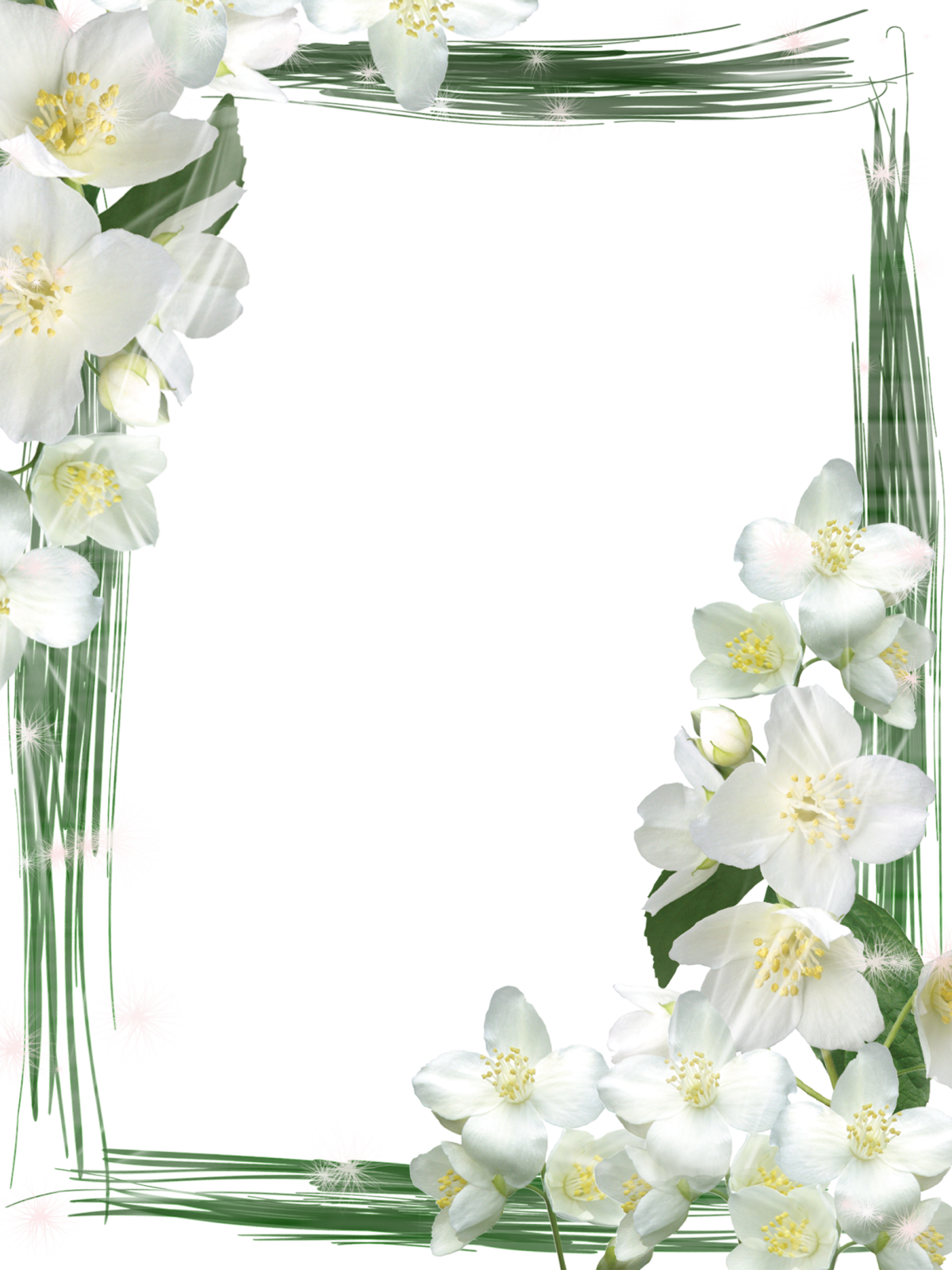 a frame with white flowers on a white background