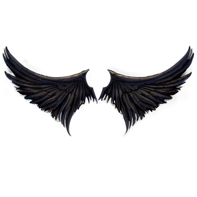 a pair of black wings