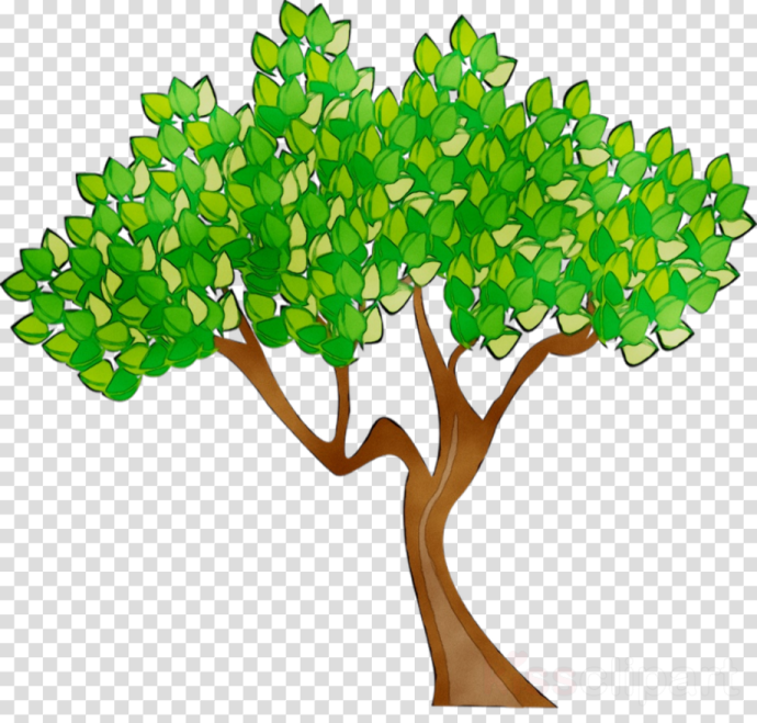 a tree with green leaves clipart