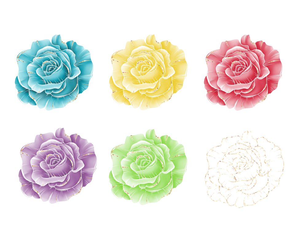a set of four different colored roses