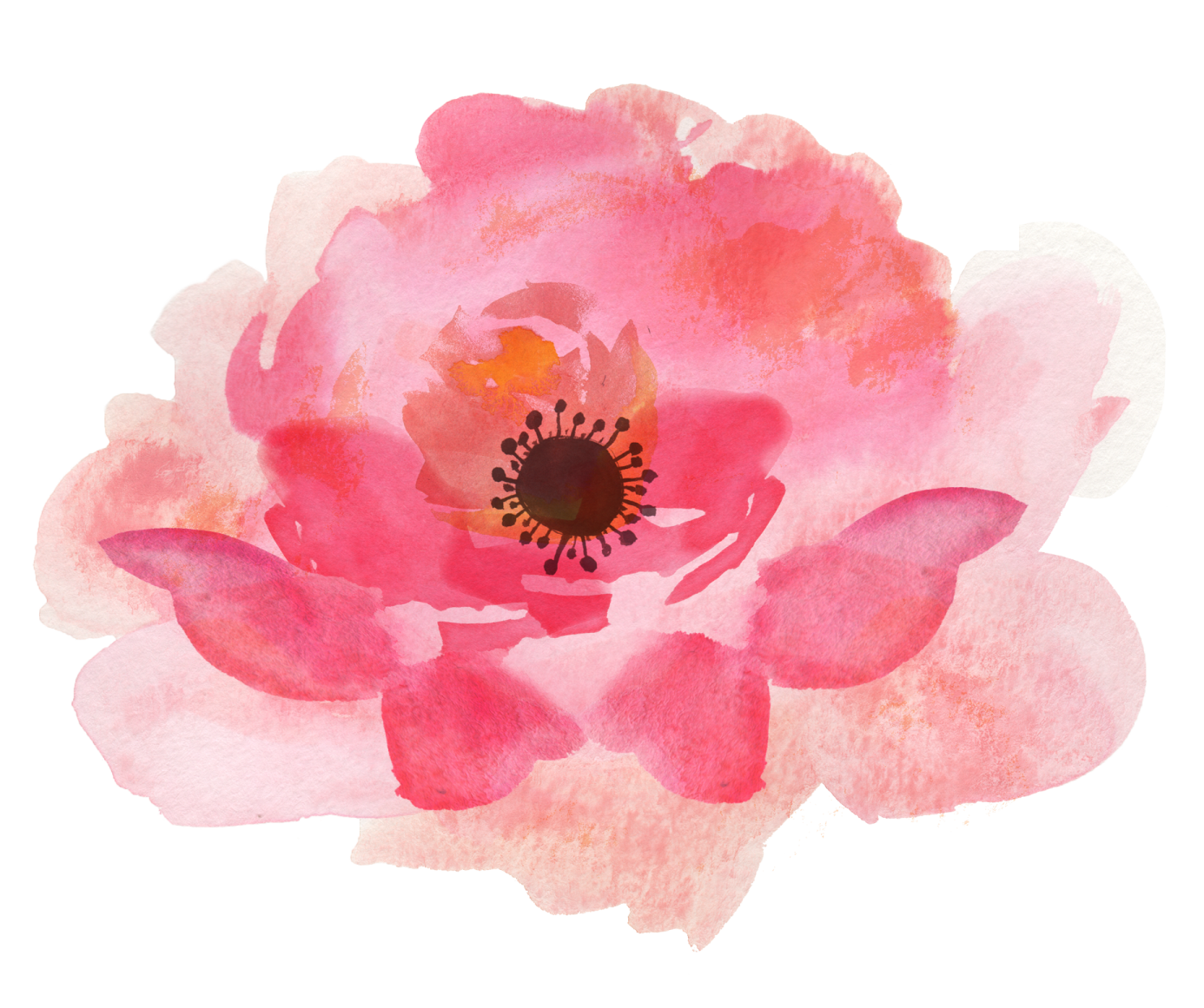 a watercolor painting of a pink flower