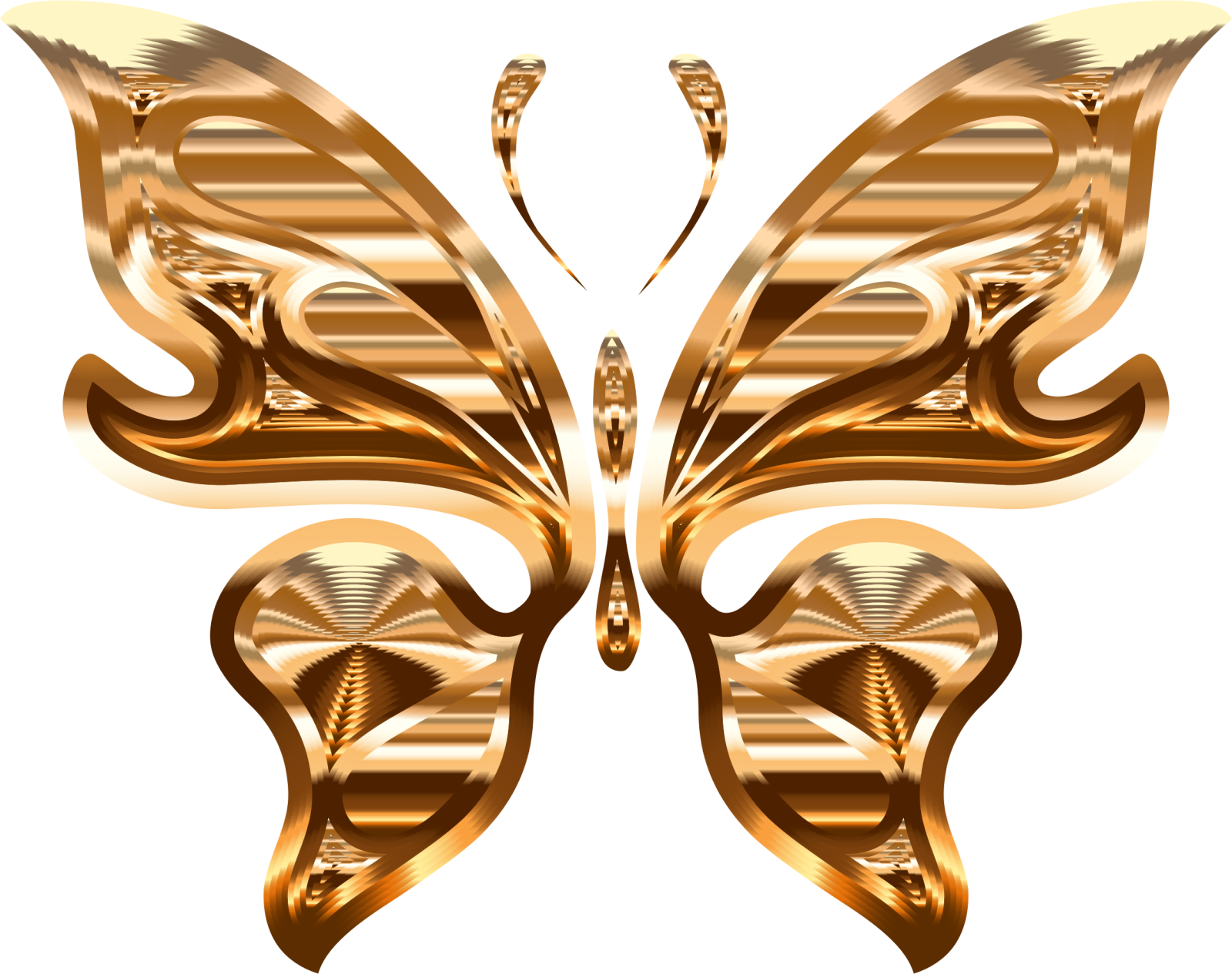 a gold butterfly on a white background