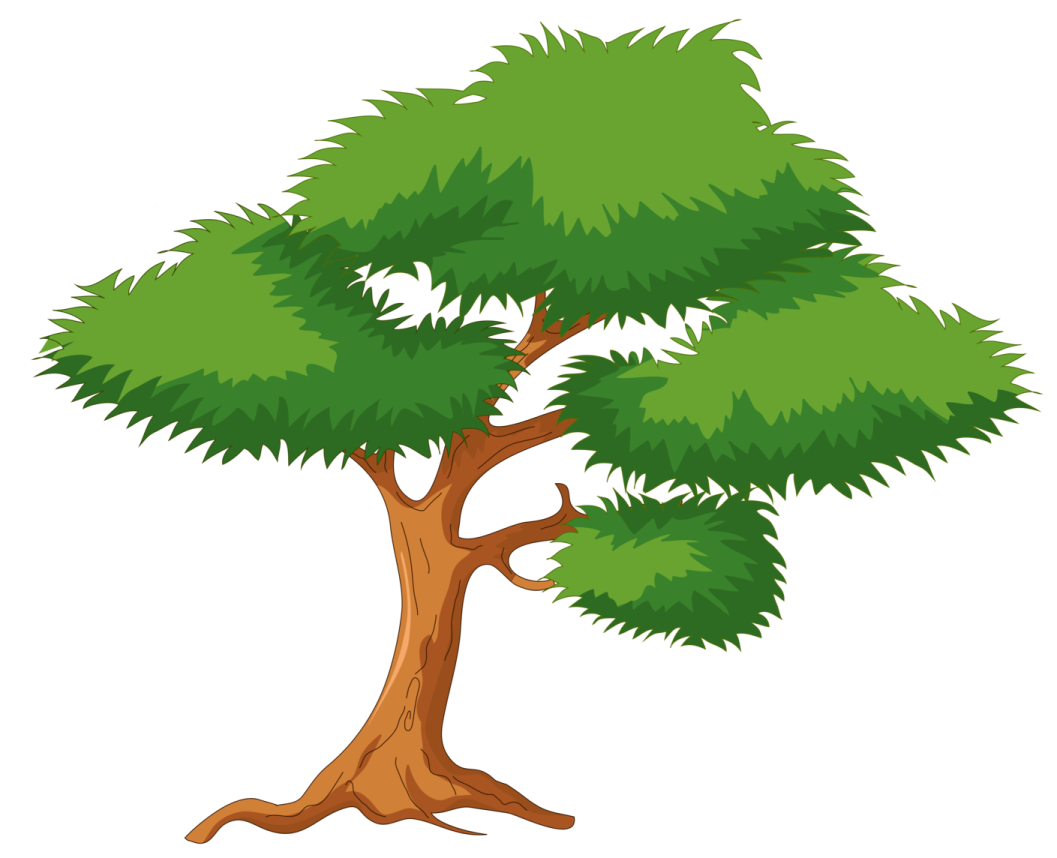 a tree on a white background