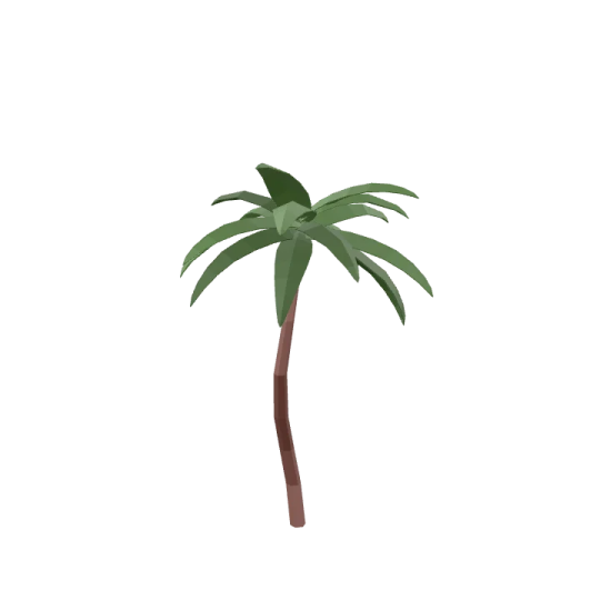 a palm tree on a white background