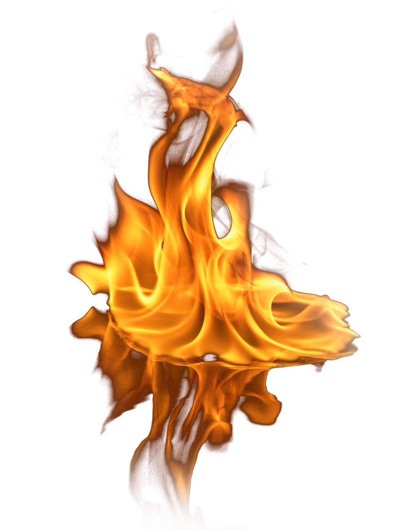 fire on a white background