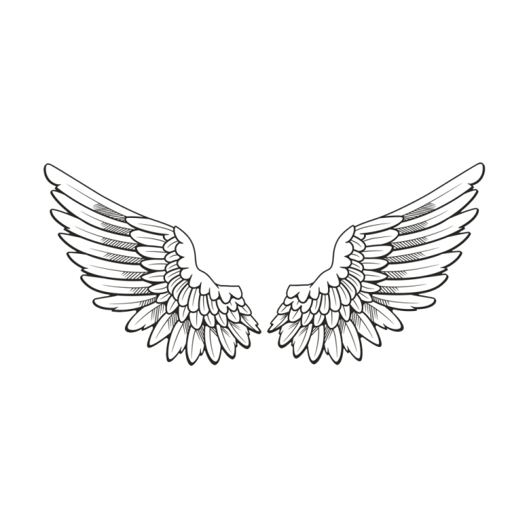 a pair of wings on white background