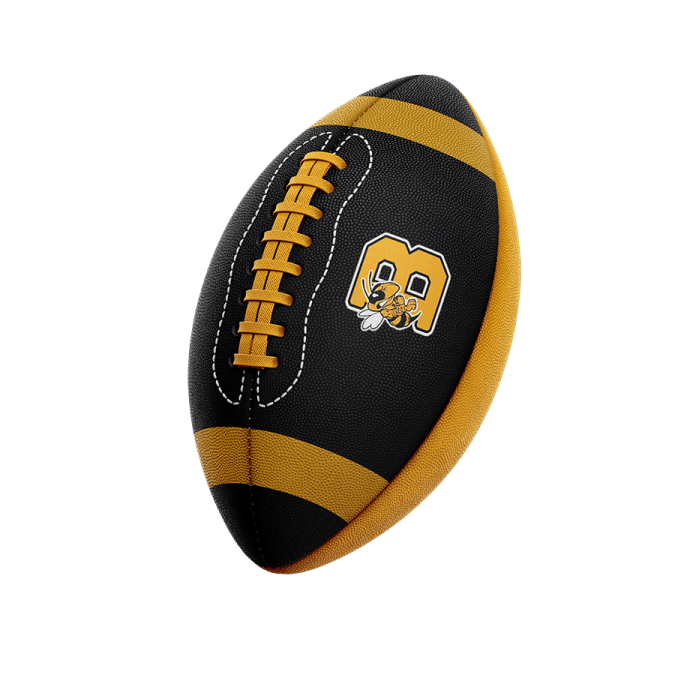 a football on a white background