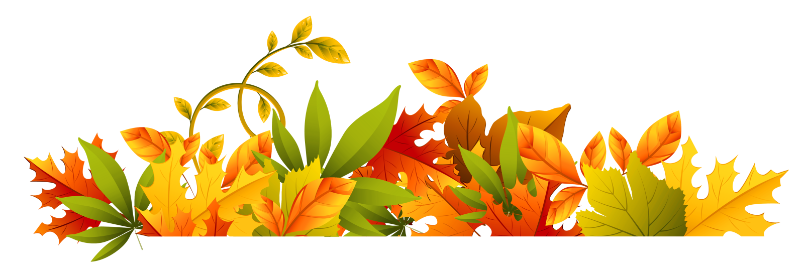 a bunch of colorful autumn leaves