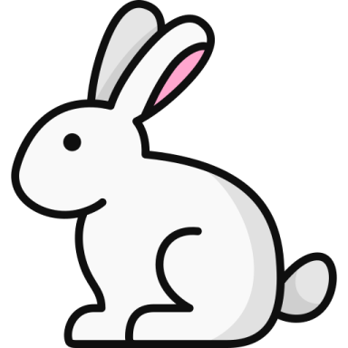 a white rabbit sitting on the ground