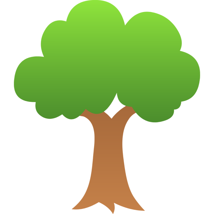 an image of a tree