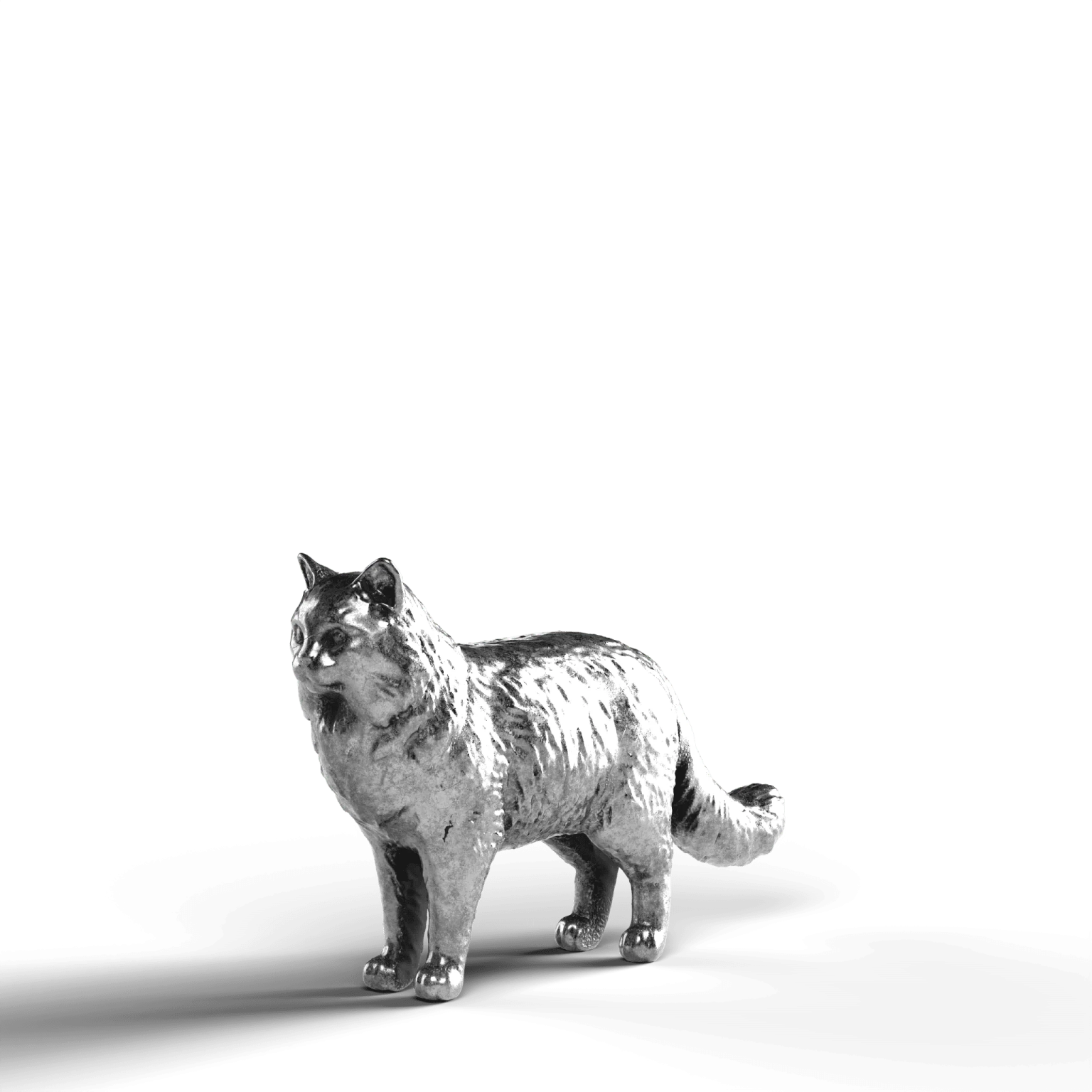 a black and white cat on a white background