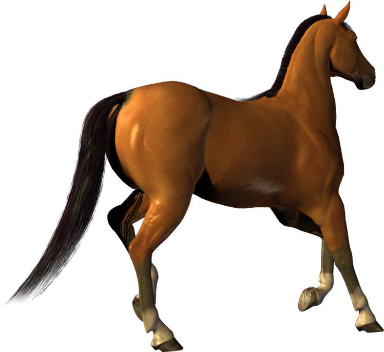 the horse is brown
