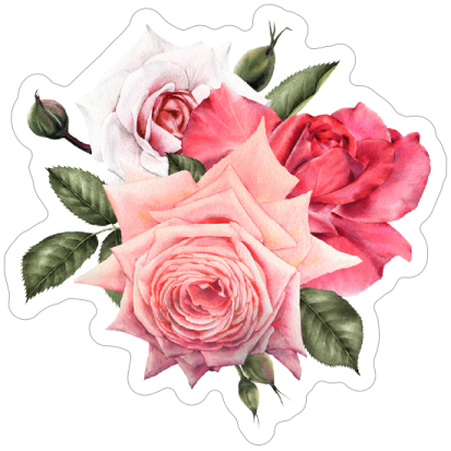 a watercolor painting of pink and white roses
