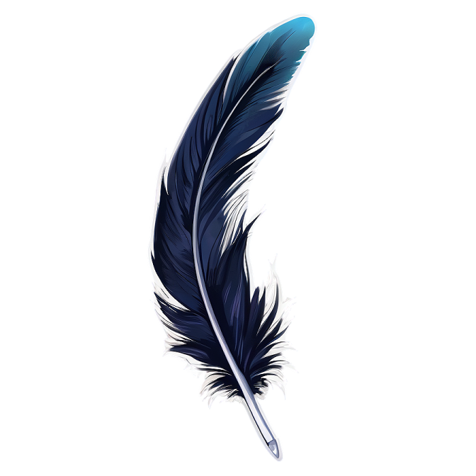 a black feather on a white background