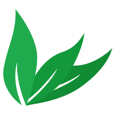 a green leaf on a white background