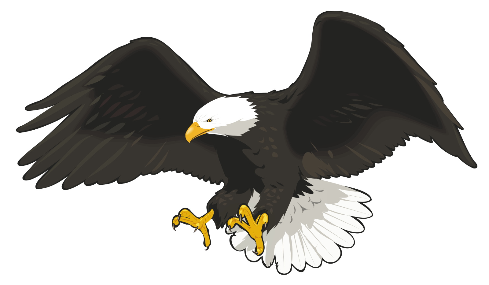 an eagle flying with its wings spread