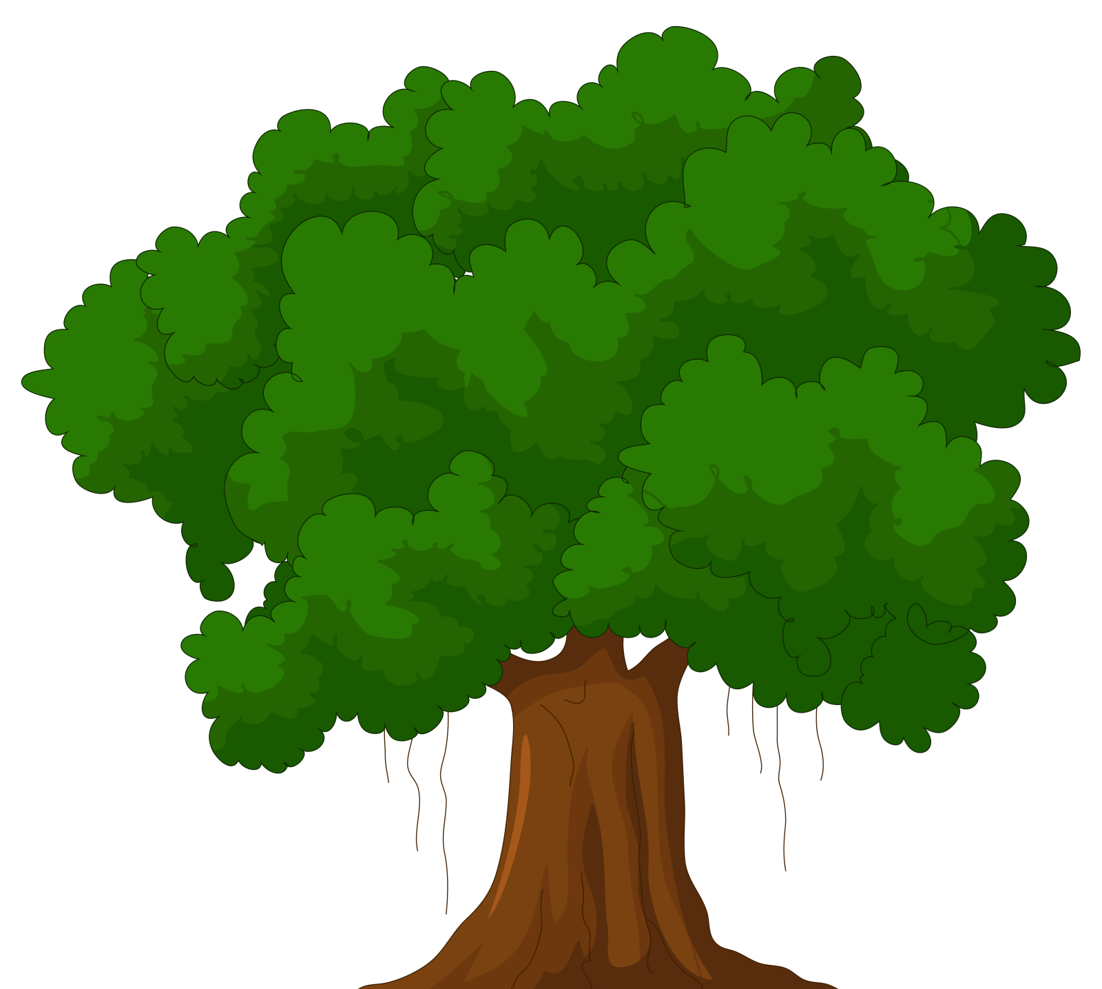 a tree with green leaves and roots