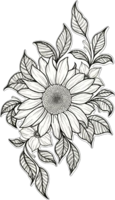 a drawing of a sunflower