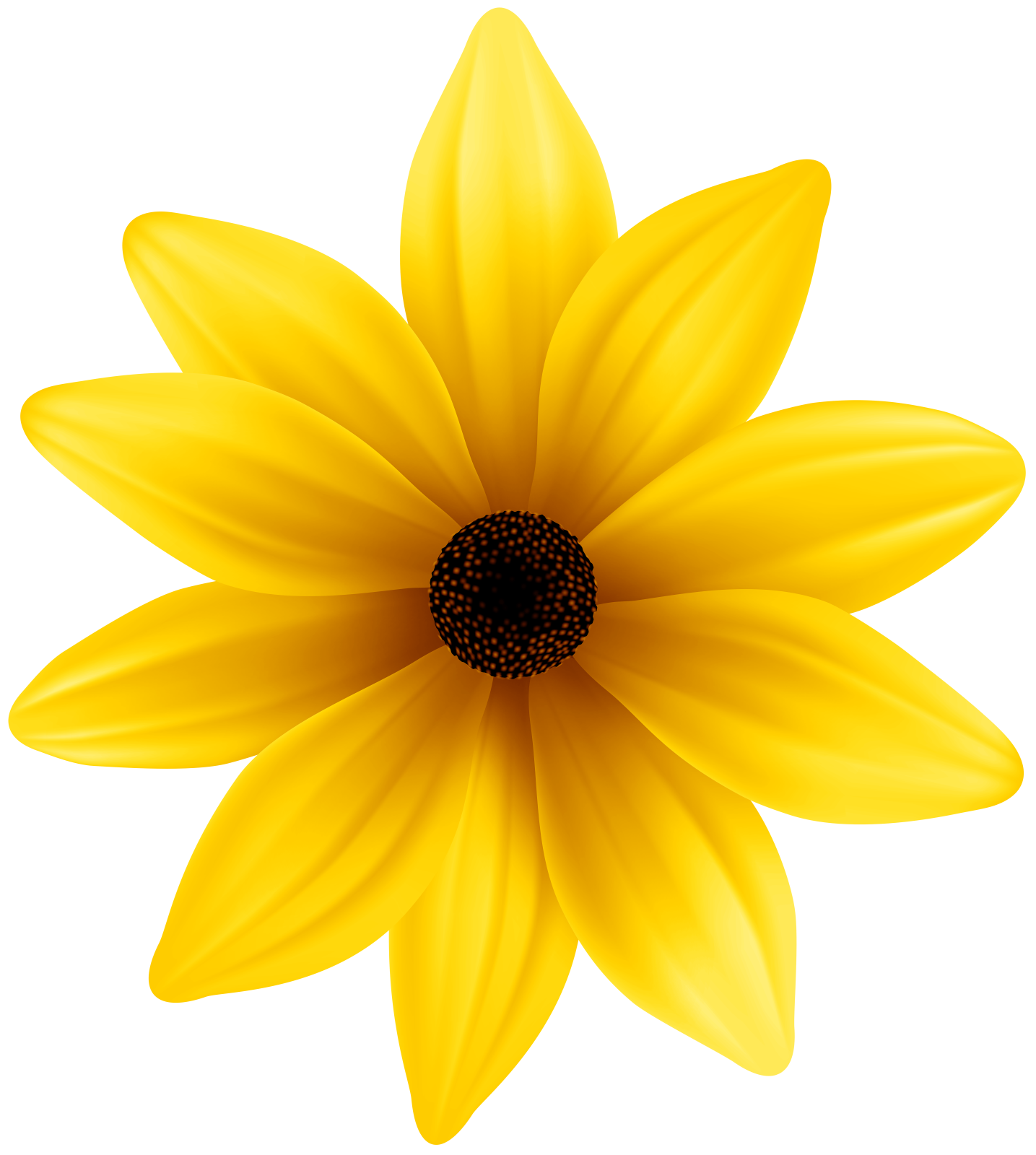 a yellow flower with black center