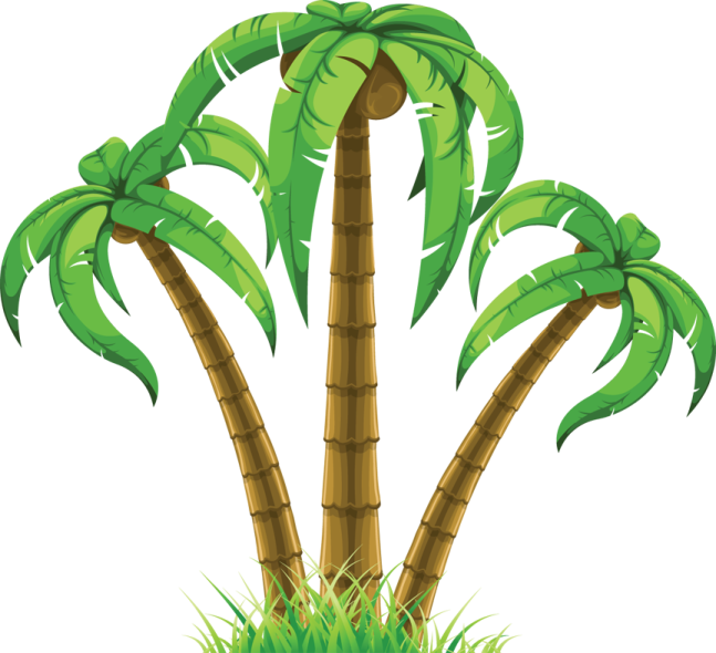 three palm trees clipart