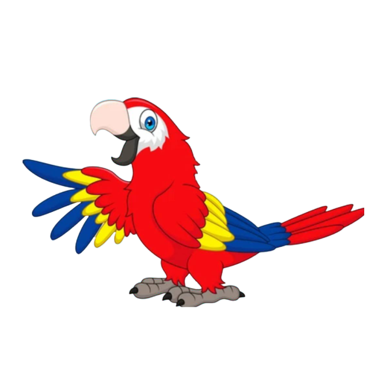 a red parrot with blue and yellow feathers
