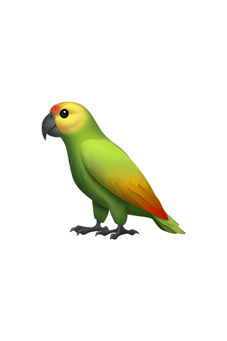 a green parrot sitting on top of a white background