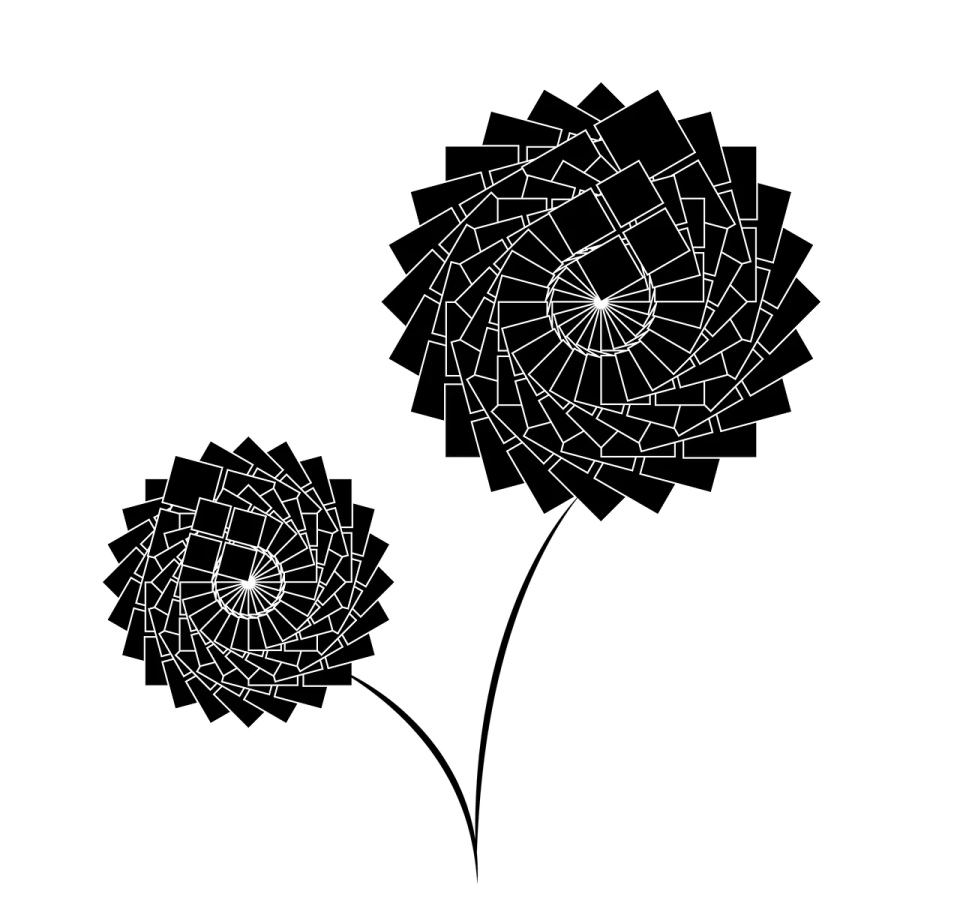 a black and white image of two flowers