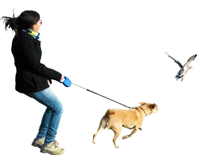 a woman walking a dog on a leash