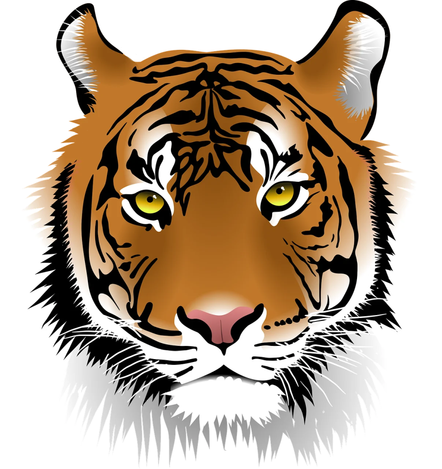 a tiger's face with yellow eyes