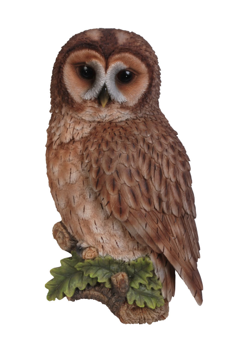 an owl sitting on top of a tree branch