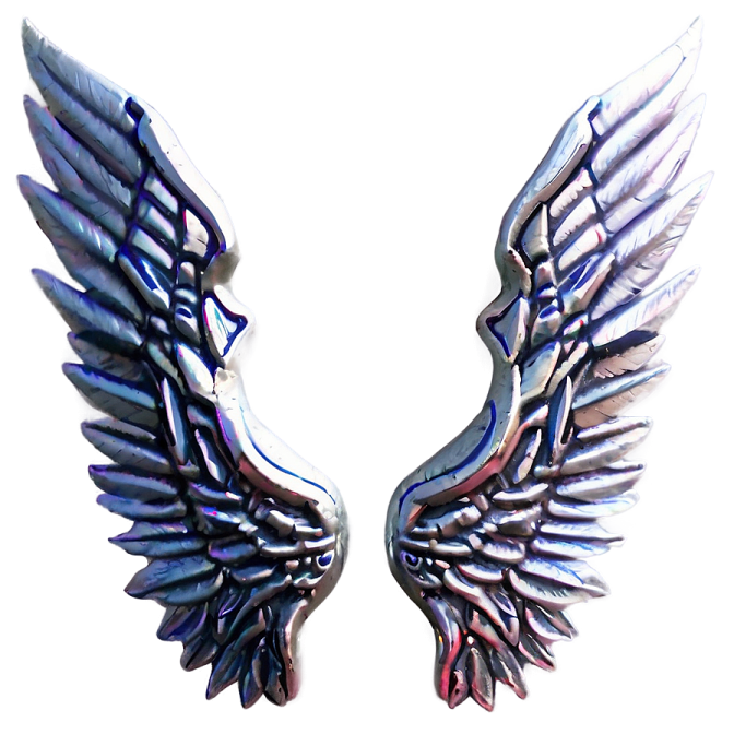 a pair of wings on a white background