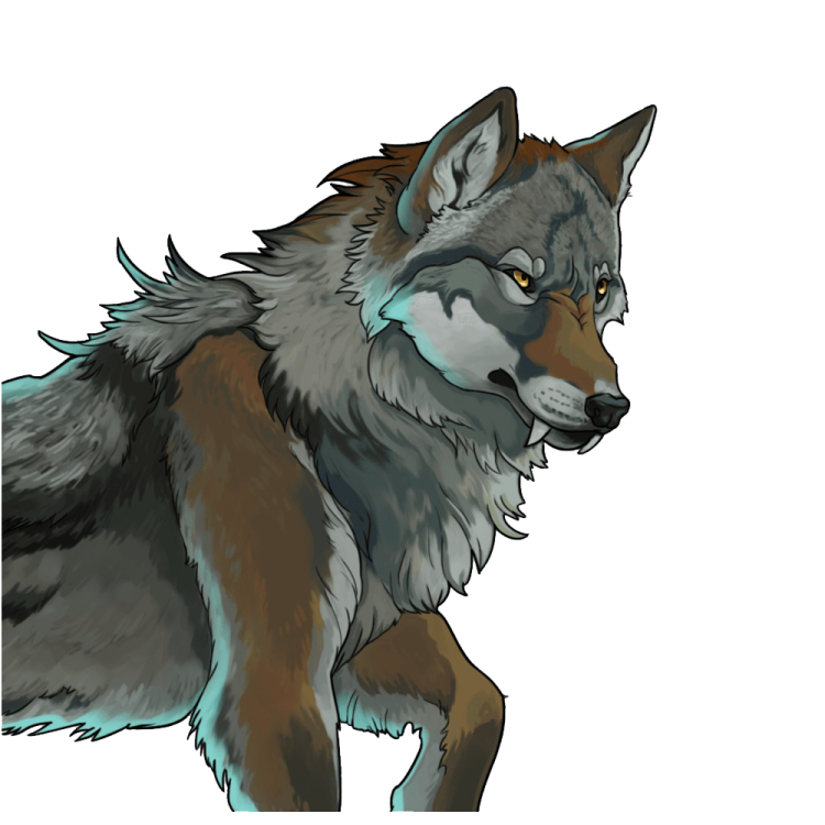 a drawing of a wolf