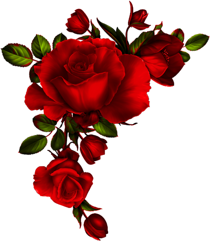 a bunch of red roses with green leaves