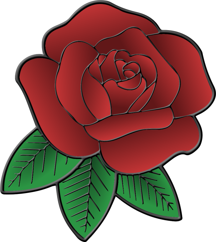 a red rose with green leaves