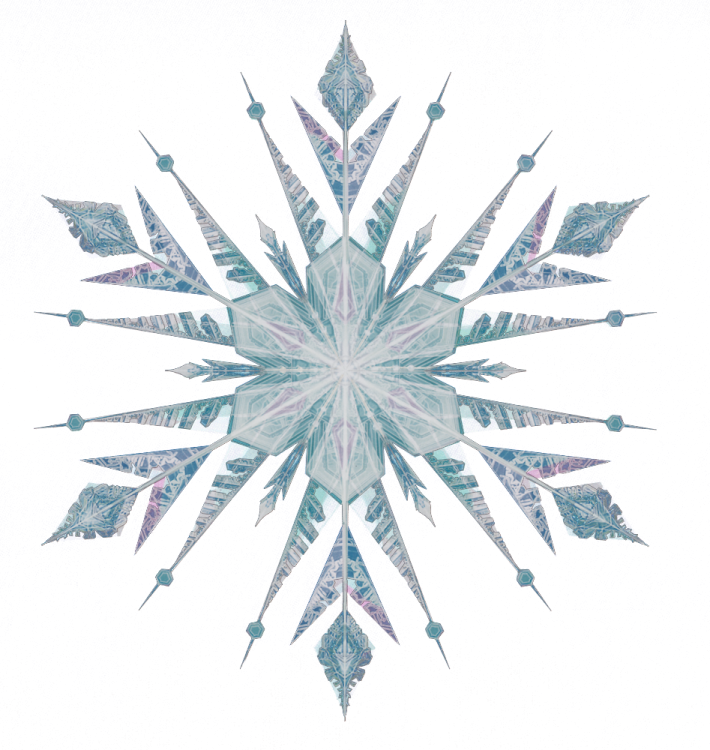 a drawing of a snowflorer on a white background