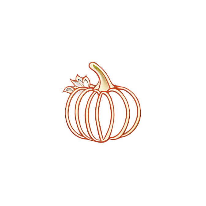 a pumpkin on a white background