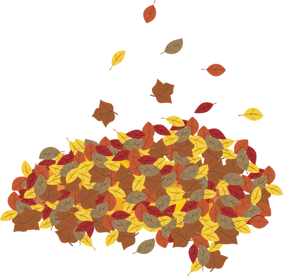 a pile of leaves on a white background