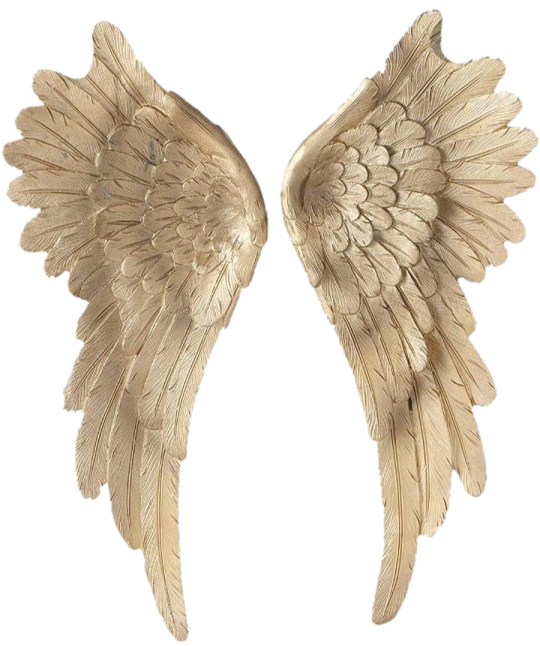 a pair of gold angel wings