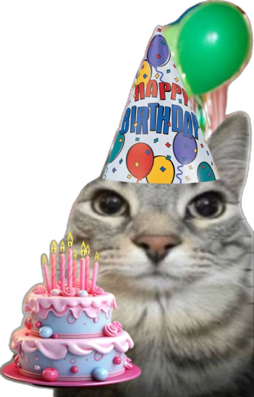 a cat is looking at a birthday cake