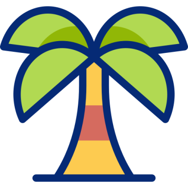 a palm tree