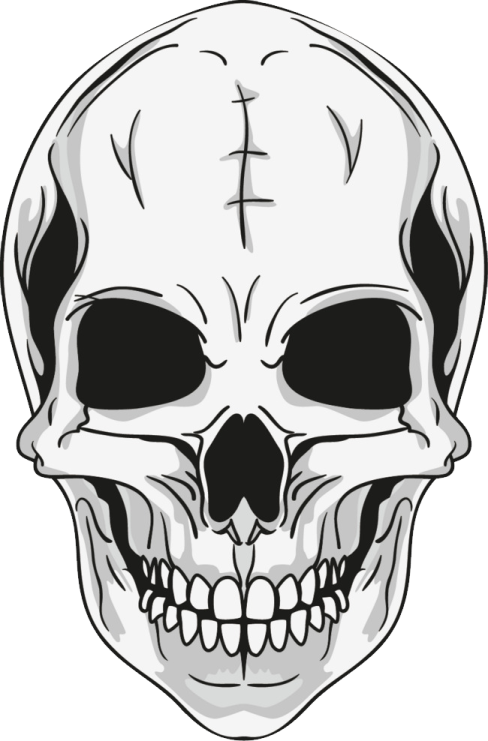 a skull with teeth and fangs