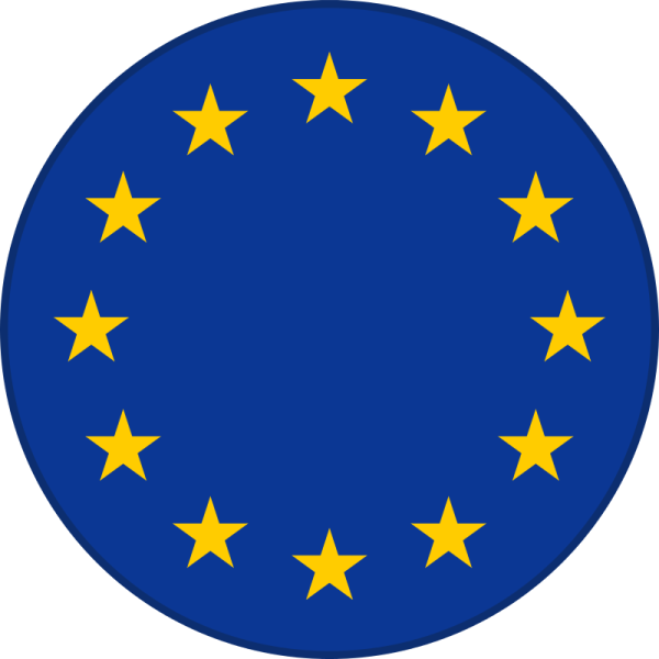the european union flag